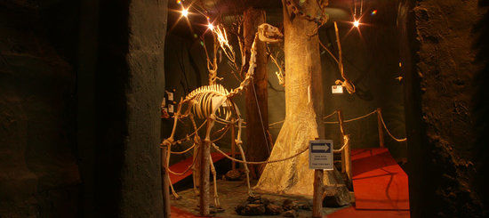 El Museo de Esqueletologia